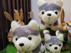 -Husky Go! 哈士奇体验馆·宠物咖啡厅狗咖