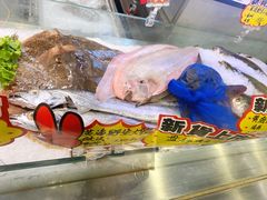 -渔娘渔家丹东海鲜(东直门店)