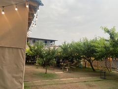 -正宗火盆自助烧烤·烤全羊·柴火鸡(龙泉山店)