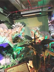 点击看大图 -恐龙探索乐园(磁器口店)
