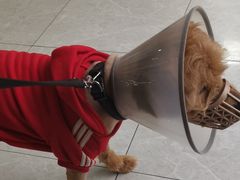 -宠颐生宠物医院·心肾内科·猫专科诊疗中心宠巢店