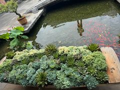 -丽江悦榕庄酒店-明月·雪山庭院餐厅