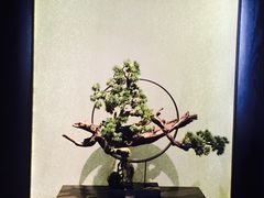 门面-华夏良子·足道SPA艾灸(王府井店)