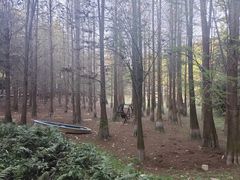 -广州市帽峰山景区