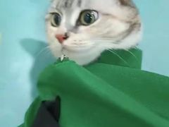 -子乐宠物医院
