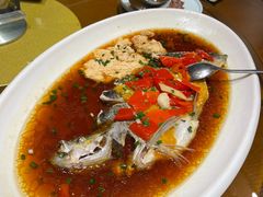 -丹江渔村(望京店)