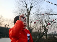 -秀丽东方