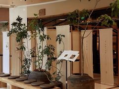 -元古雲境(南京万象天地店)