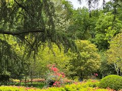 -上海佘山国家森林公园天马山园