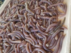 -顺德了能馆(虎门店)