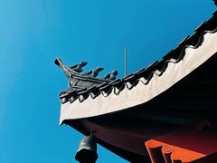 -上海东林寺(金山区)