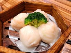 -粤食堂(天津和悦汇店)