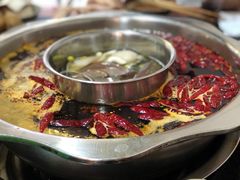 -肥龙火锅(南坪店)