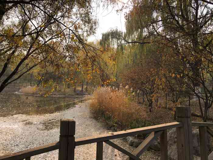 旺兴湖郊野公园