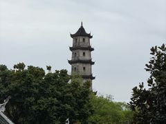 -江心屿景区