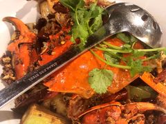 -石头咕(葵蓬店)