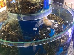 -新海渔港·胶东海鲜家常菜·家宴(奥体中心店)