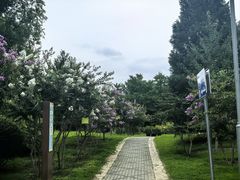-东升八家郊野公园