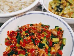 -壹盏灯(惠农店)