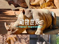 -昆明动物园