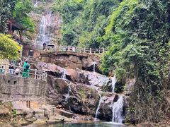 -鼎湖山风景区