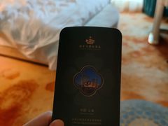 -上海白金汉爵大酒店(大零号湾国际会议中心店)
