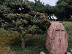 -青岛海滨风景区小青岛