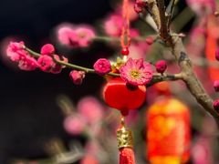 -复旦大学附属华山医院(总院)