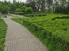 -洨河生态公园