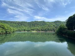 -桃花岭景区