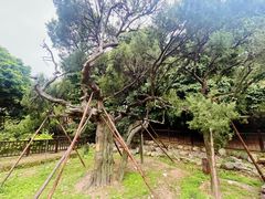 -草庵摩尼教遗址公园