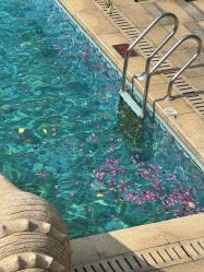 -心俞普拉提运动