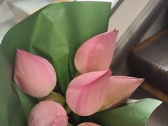 -君之悦·影院式足道·养生SPA(回兴店)