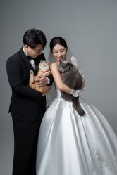 -MAO亲爱的猫婚纱摄影工作室