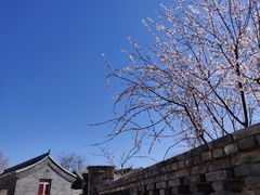-春风习习