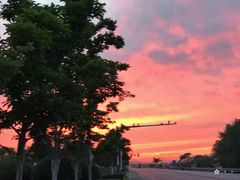 -合肥滨湖国家森林公园