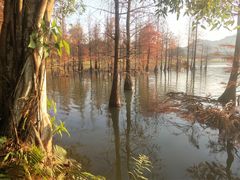 -南宁花花大世界景区