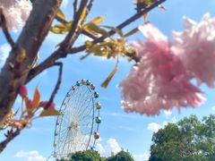 -观澜湖生态运动公社