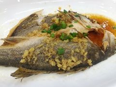 姜蓉蒸花鱼-海晖酒楼·顺德鱼生(荣华店)