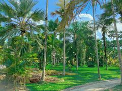 -中国科学院西双版纳热带植物园