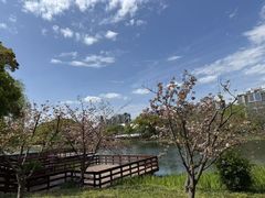 -新江湾城公园