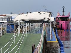 -海驴岛(荣成市)