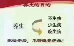 -香薇妮丝·定制减肥·身材管理