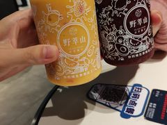 -野萃山·潮汕厚果汁(十亩地店)
