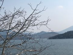 -望湖烤鱼
