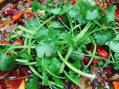 水煮牛肉-乡土特色.冷锅鱼.牦牛肉汤锅