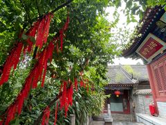 -兴教寺