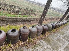 -长兴太湖图影湿地文化园