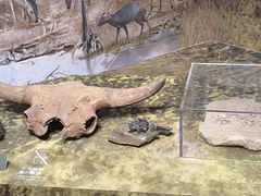 -遇见博物馆(遇见海洋沉浸式奇幻光影展)