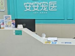 -安安宠医宠物医院·异宠·犬猫内科(岳阳分院)